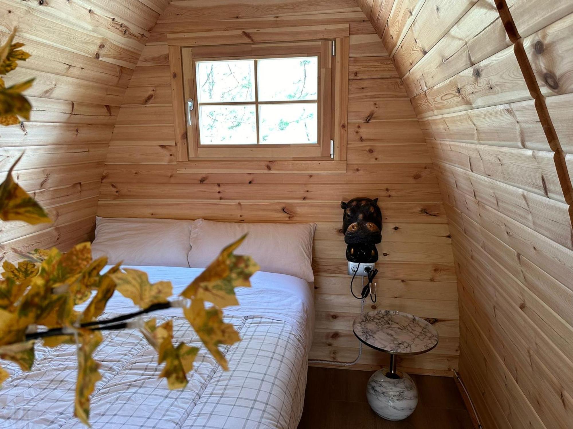 Camping Ripolles Екстер'єр фото