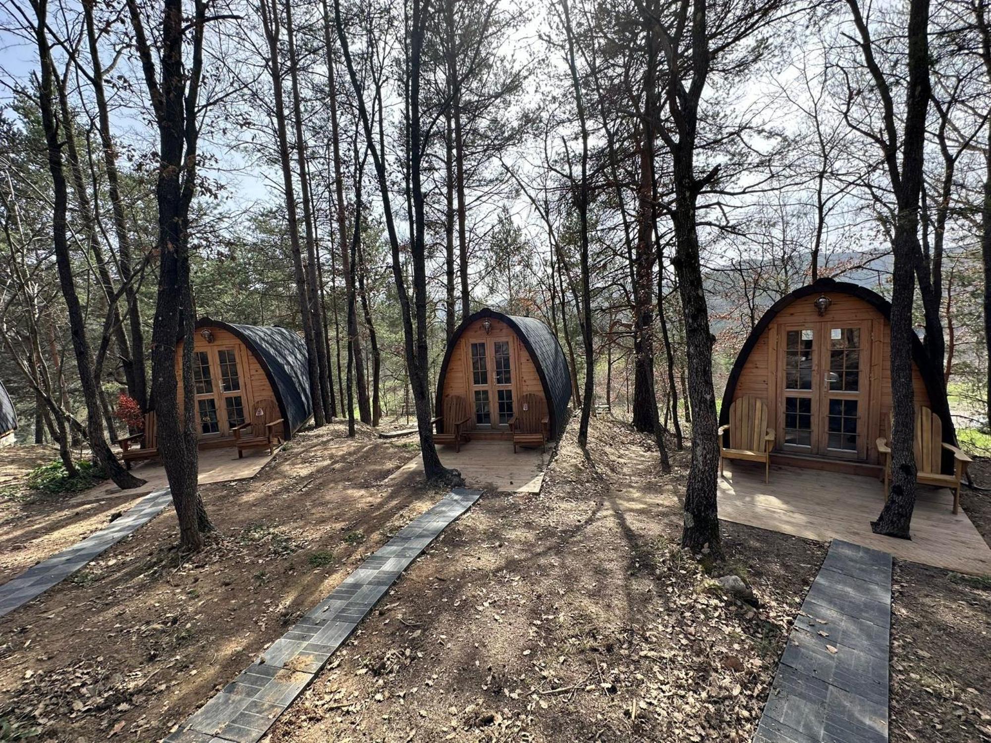 Camping Ripolles Екстер'єр фото